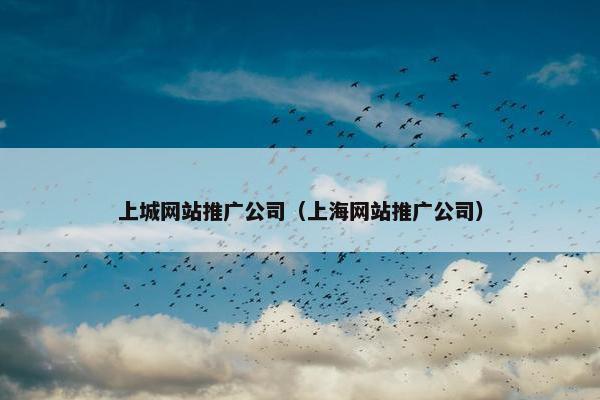 上城网站推广公司（上海网站推广公司）