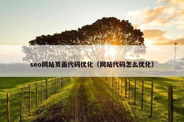seo网站页面代码优化（网站代码怎么优化）