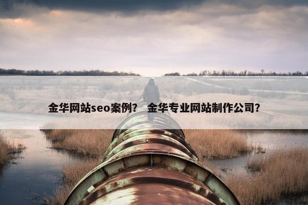 金华网站seo案例？ 金华专业网站制作公司？