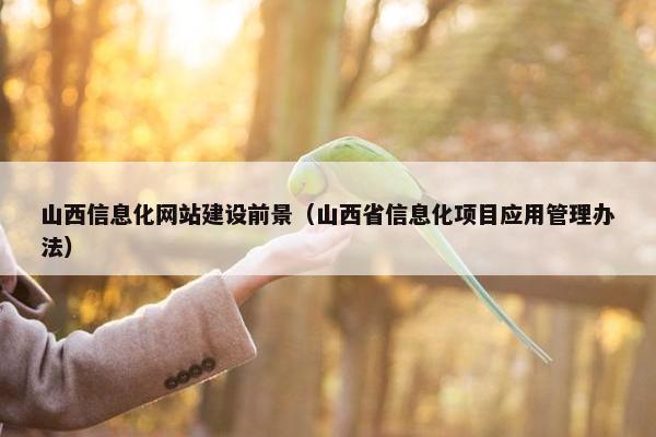 山西信息化网站建设前景（山西省信息化项目应用管理办法）