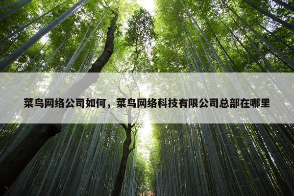 菜鸟网络公司如何，菜鸟网络科技有限公司总部在哪里