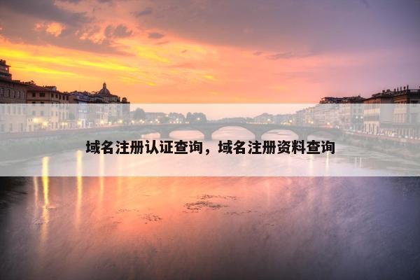 域名注册认证查询，域名注册资料查询