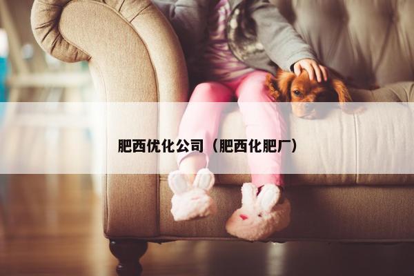 肥西优化公司（肥西化肥厂）
