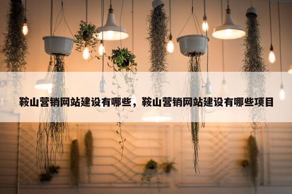 鞍山营销网站建设有哪些，鞍山营销网站建设有哪些项目