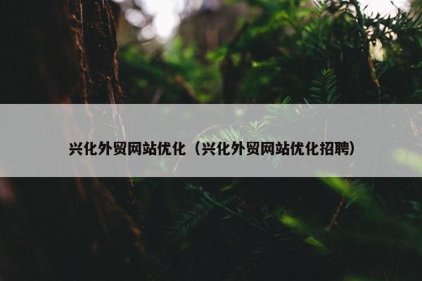 兴化外贸网站优化（兴化外贸网站优化招聘）
