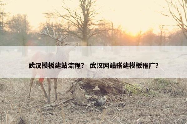 武汉模板建站流程？ 武汉网站搭建模板推广？