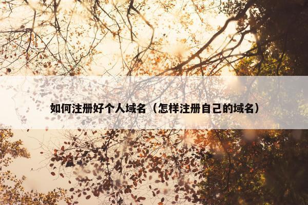 如何注册好个人域名（怎样注册自己的域名）