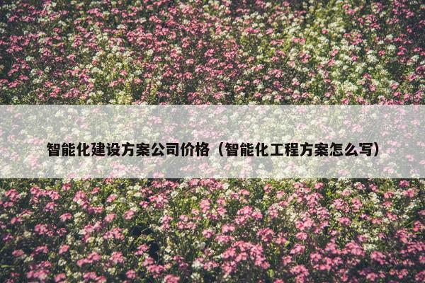 智能化建设方案公司价格（智能化工程方案怎么写）