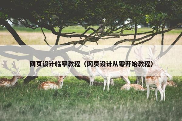 网页设计临摹教程（网页设计从零开始教程）