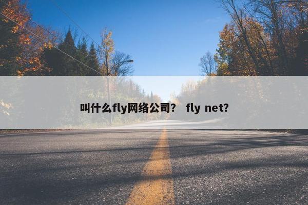 叫什么fly网络公司？ fly net？