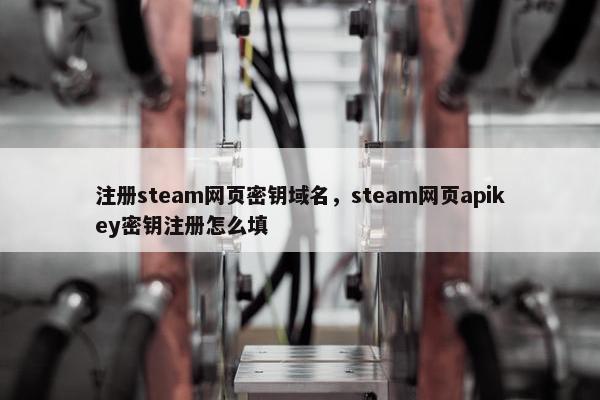 注册steam网页密钥域名，steam网页apikey密钥注册怎么填