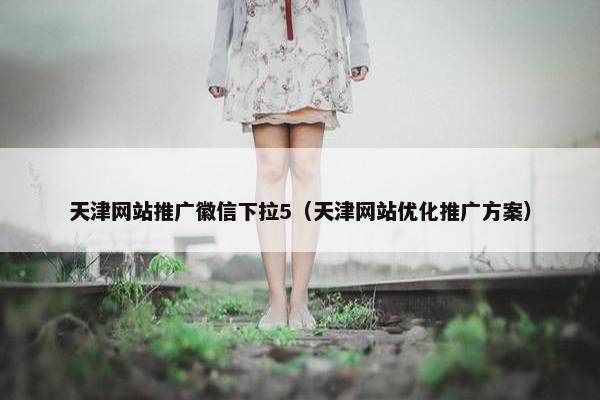 天津网站推广徽信下拉5（天津网站优化推广方案）