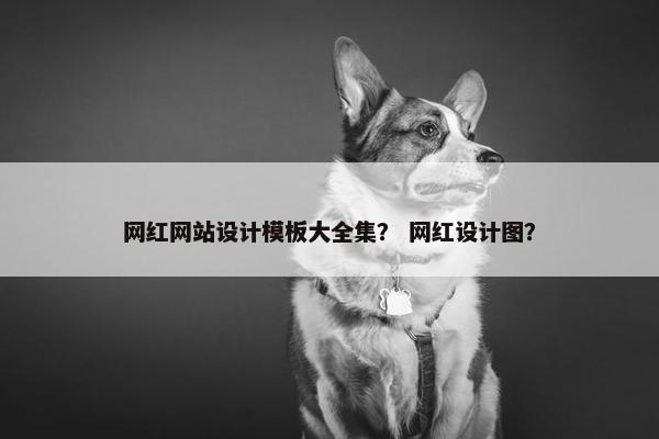 网红网站设计模板大全集？ 网红设计图？