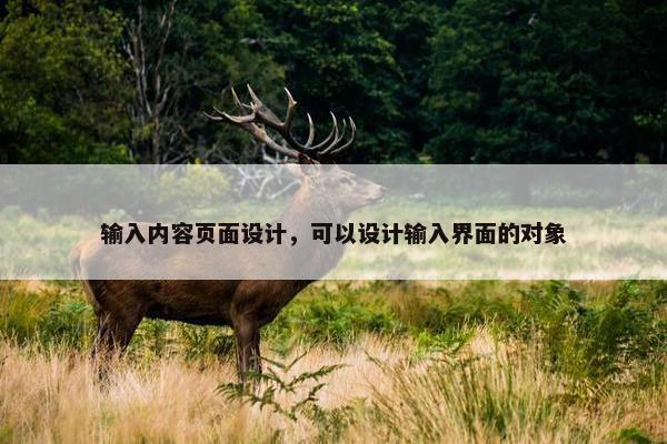 输入内容页面设计，可以设计输入界面的对象