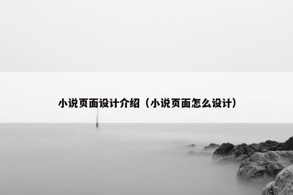 小说页面设计介绍（小说页面怎么设计）