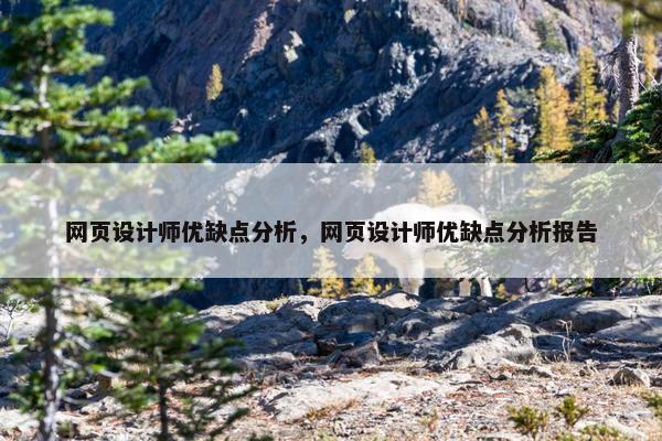 网页设计师优缺点分析，网页设计师优缺点分析报告