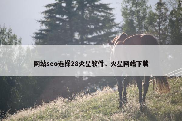 网站seo选择28火星软件，火星网站下载