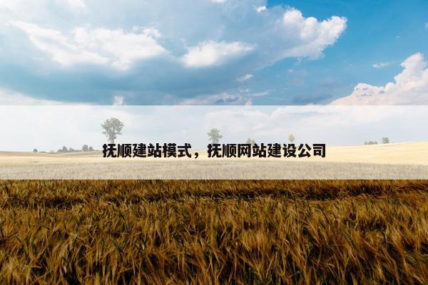 抚顺建站模式，抚顺网站建设公司