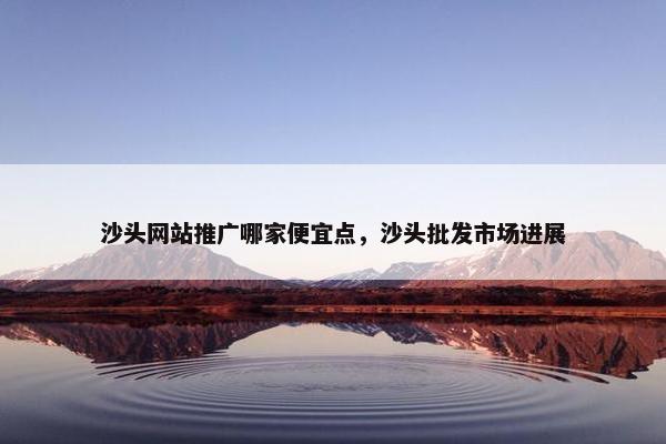 沙头网站推广哪家便宜点，沙头批发市场进展