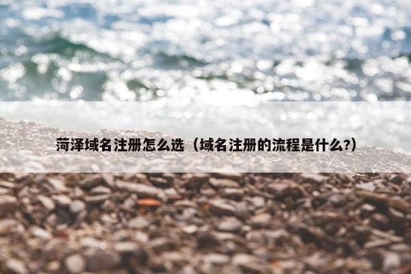 菏泽域名注册怎么选（域名注册的流程是什么?）