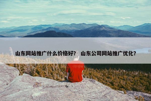 山东网站推广什么价格好？ 山东公司网站推广优化？