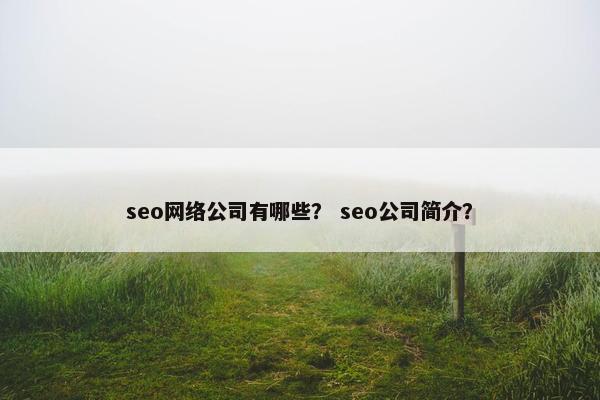 seo网络公司有哪些？ seo公司简介？