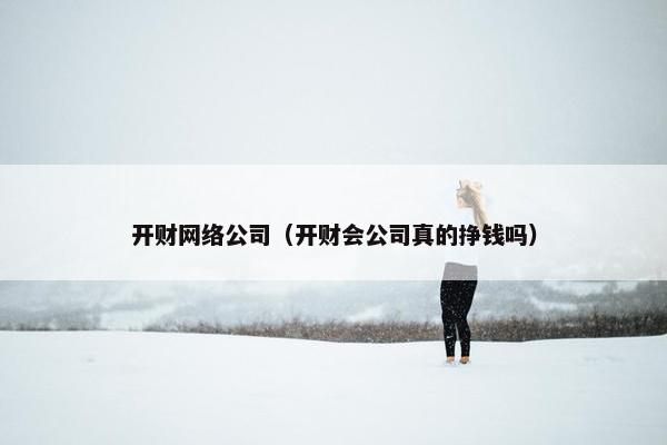 开财网络公司（开财会公司真的挣钱吗）