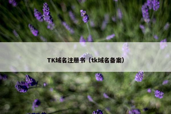 TK域名注册书（tk域名备案）