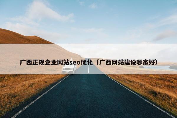 广西正规企业网站seo优化（广西网站建设哪家好）