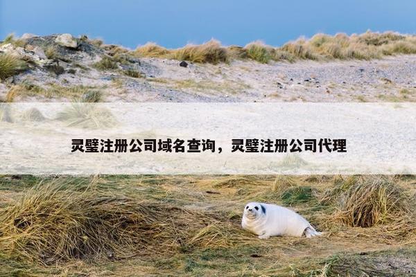灵璧注册公司域名查询，灵璧注册公司代理