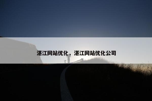 湛江网站优化，湛江网站优化公司