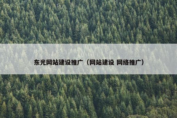 东光网站建设推广（网站建设 网络推广）