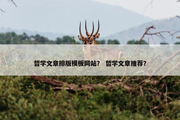 哲学文章排版模板网站？ 哲学文章推荐？
