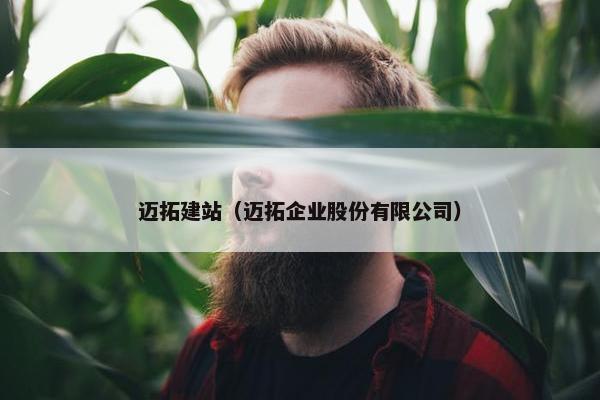 迈拓建站（迈拓企业股份有限公司）