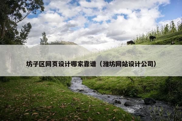 坊子区网页设计哪家靠谱（潍坊网站设计公司）