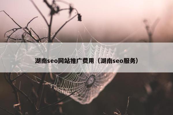 湖南seo网站推广费用（湖南seo服务）