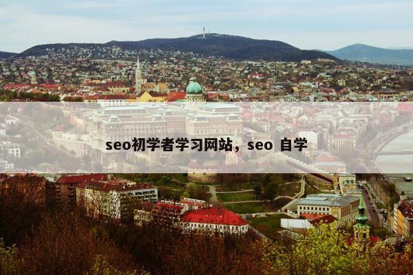 seo初学者学习网站，seo 自学