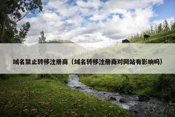 域名禁止转移注册商（域名转移注册商对网站有影响吗）
