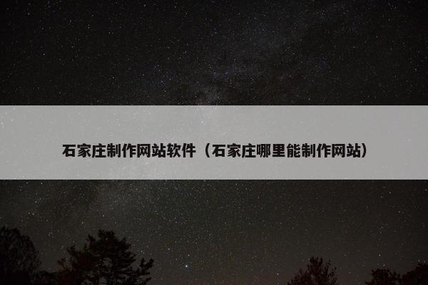 石家庄制作网站软件（石家庄哪里能制作网站）