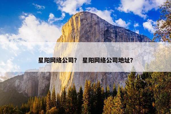 星阳网络公司？ 星阳网络公司地址？