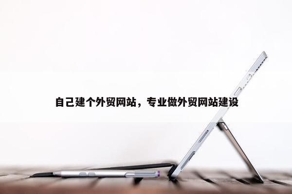 自己建个外贸网站，专业做外贸网站建设