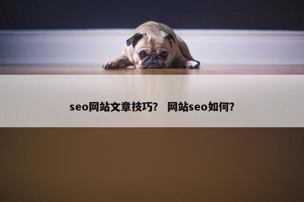 seo网站文章技巧？ 网站seo如何？