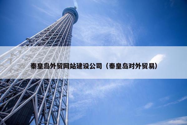 秦皇岛外贸网站建设公司（秦皇岛对外贸易）
