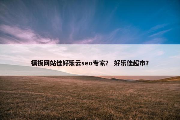 模板网站佳好乐云seo专家？ 好乐佳超市？