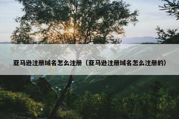 亚马逊注册域名怎么注册（亚马逊注册域名怎么注册的）
