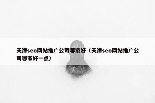 天津seo网站推广公司哪家好（天津seo网站推广公司哪家好一点）