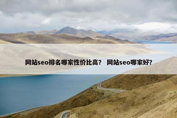 网站seo排名哪家性价比高？ 网站seo哪家好？