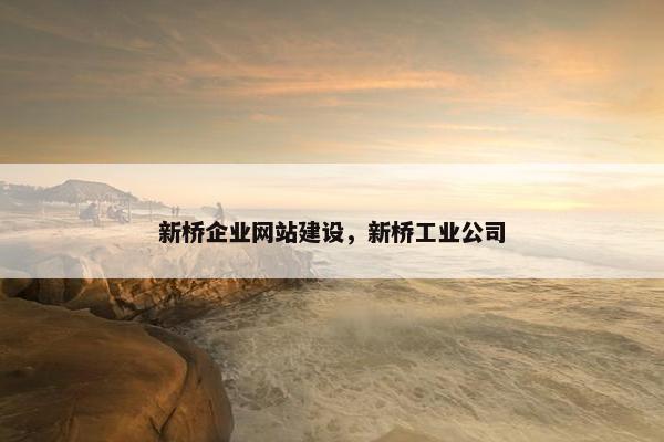新桥企业网站建设，新桥工业公司