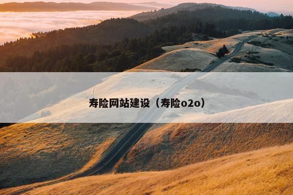 寿险网站建设（寿险o2o）
