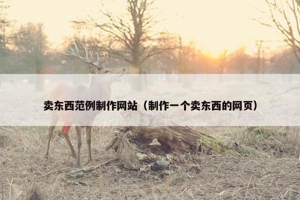 卖东西范例制作网站（制作一个卖东西的网页）
